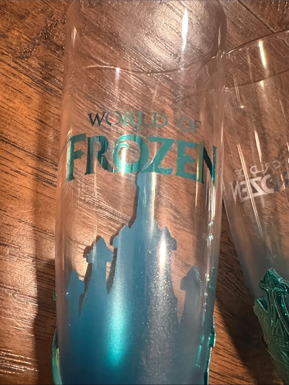 Disneyland PARIS World of FROZEN Teal Champagne Flutes - Set of 2 (exclusive)